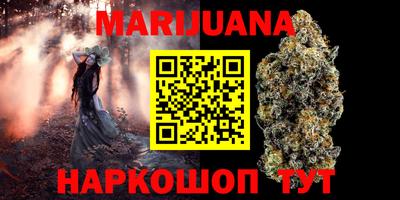 стафф Гай