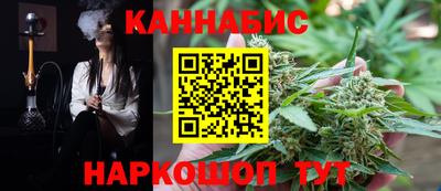 стафф Гай