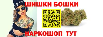 стафф Гай