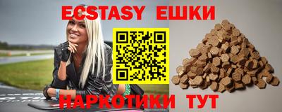 стафф Гай